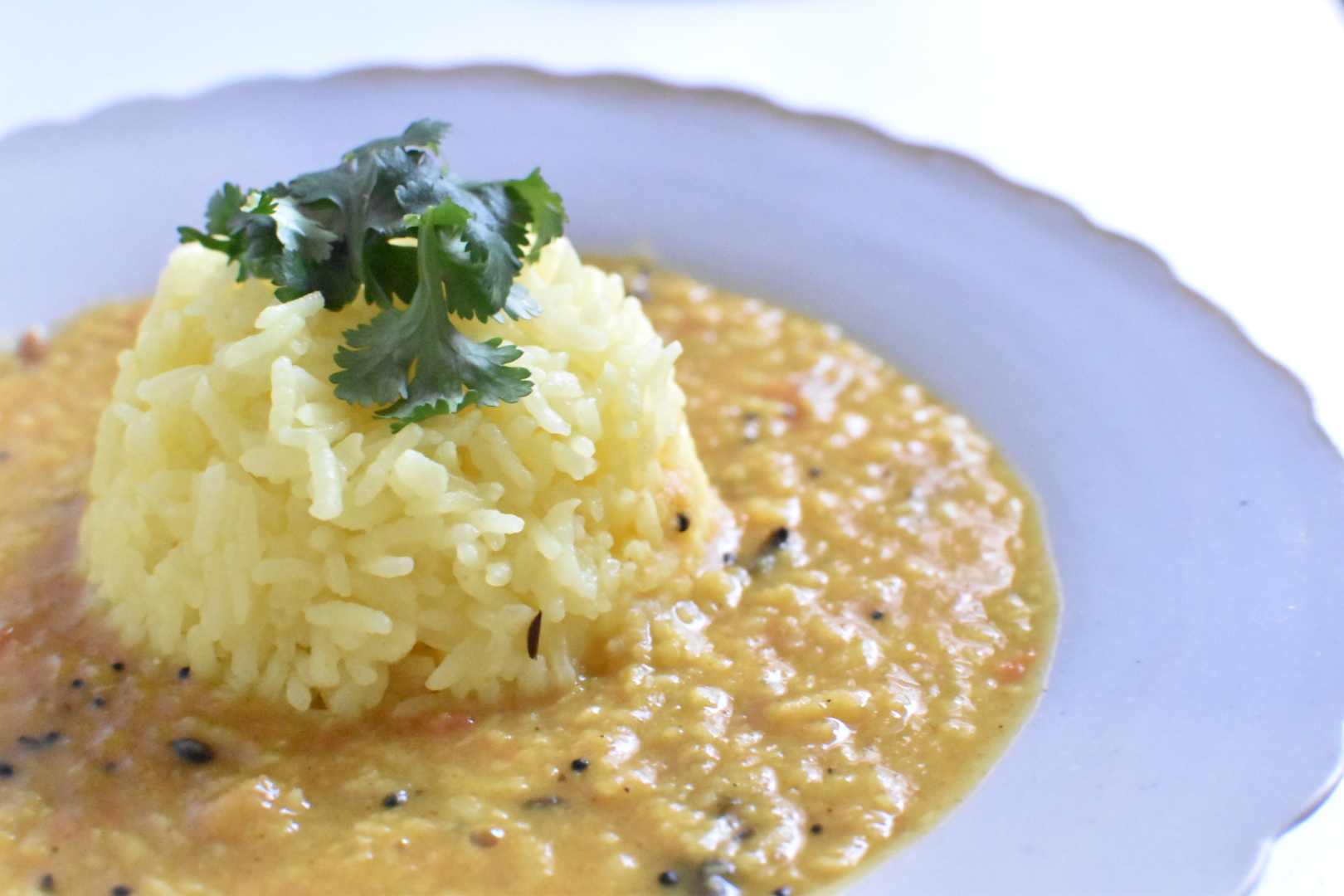  アーユルヴェーダ治療院のダルカレー